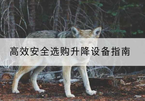 白碱滩升降货梯厂家推荐-*安全选购升降设备指南