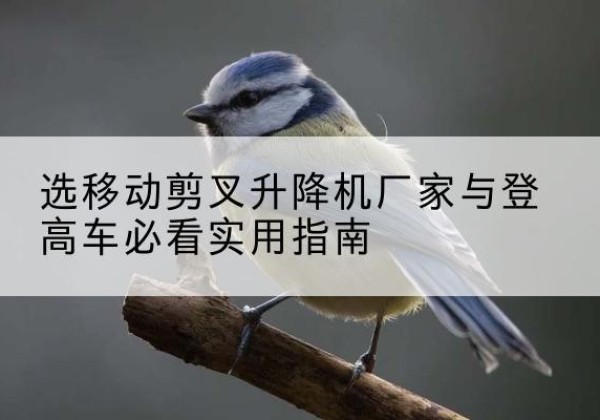 白碱滩电动升降机厂家-选移动剪叉升降机厂家与登高车必看实用指南