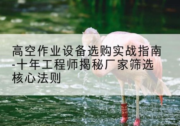 白碱滩剪叉式升降机厂家-高空作业设备选购实战指南-十年工程师揭秘厂家筛选核心法则